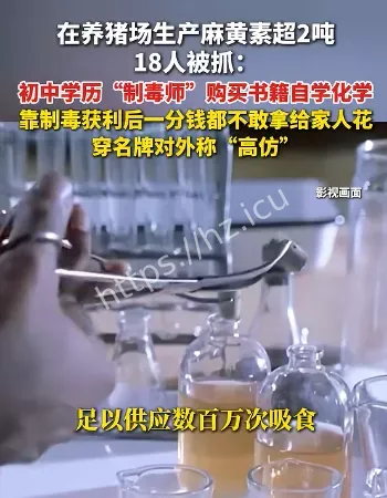 养猪场生产麻黄素